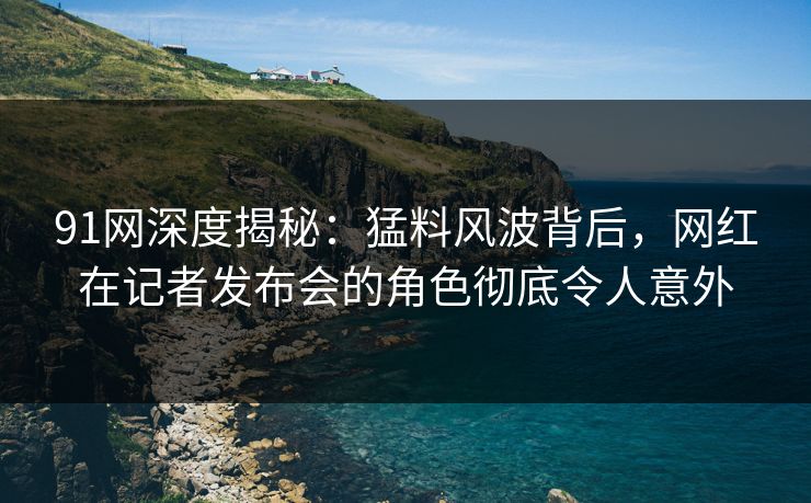 91网深度揭秘：猛料风波背后，网红在记者发布会的角色彻底令人意外