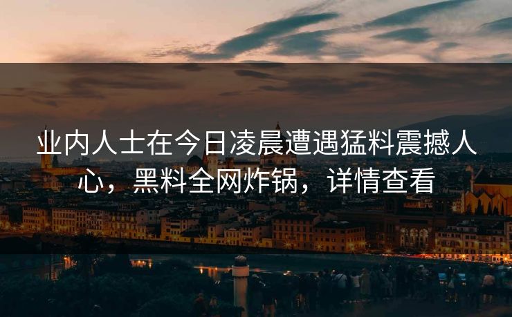 业内人士在今日凌晨遭遇猛料震撼人心，黑料全网炸锅，详情查看
