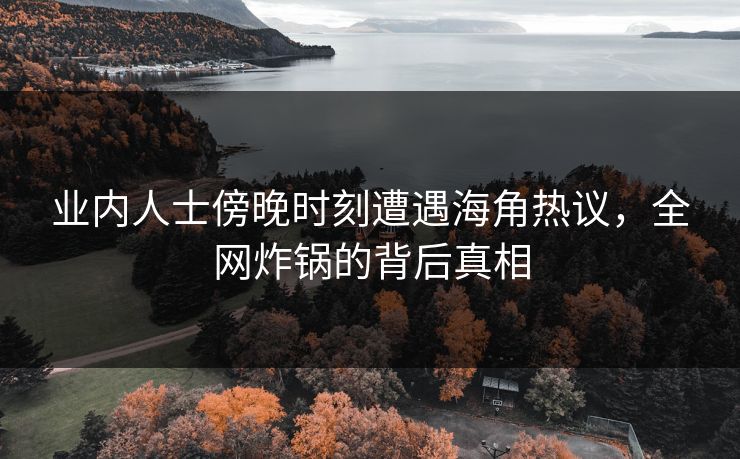 业内人士傍晚时刻遭遇海角热议，全网炸锅的背后真相
