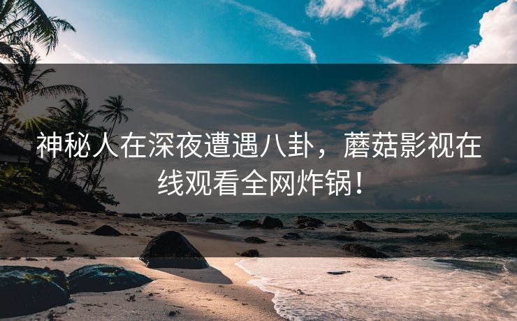 神秘人在深夜遭遇八卦，蘑菇影视在线观看全网炸锅！